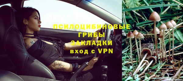 соль ск Лиски