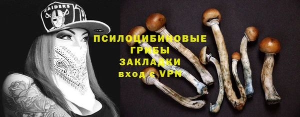 соль ск Лиски