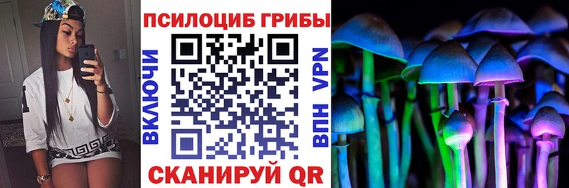 hydra tor  цены   Кизел  Псилоцибиновые грибы прущие грибы 