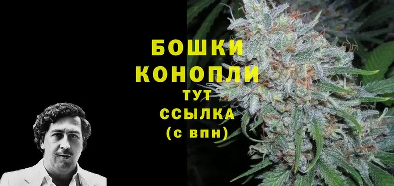 Марихуана OG Kush  Кизел 